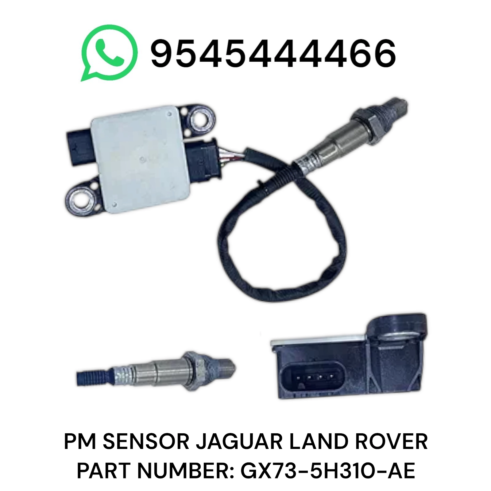 Photoroom-20250923_184435 Photoroom 20250923 184435