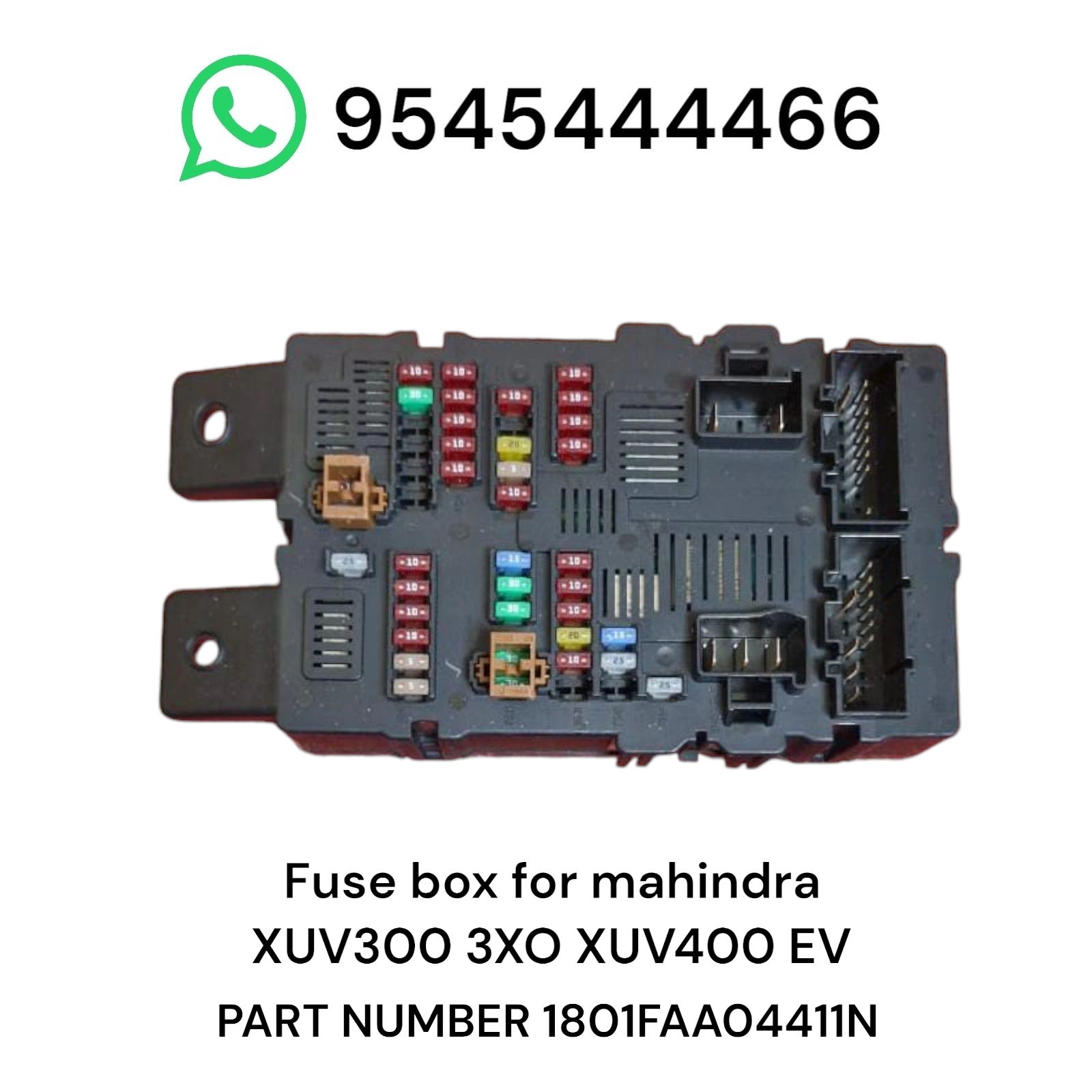 Photoroom-20250504_005503 Photoroom 20250504 005503