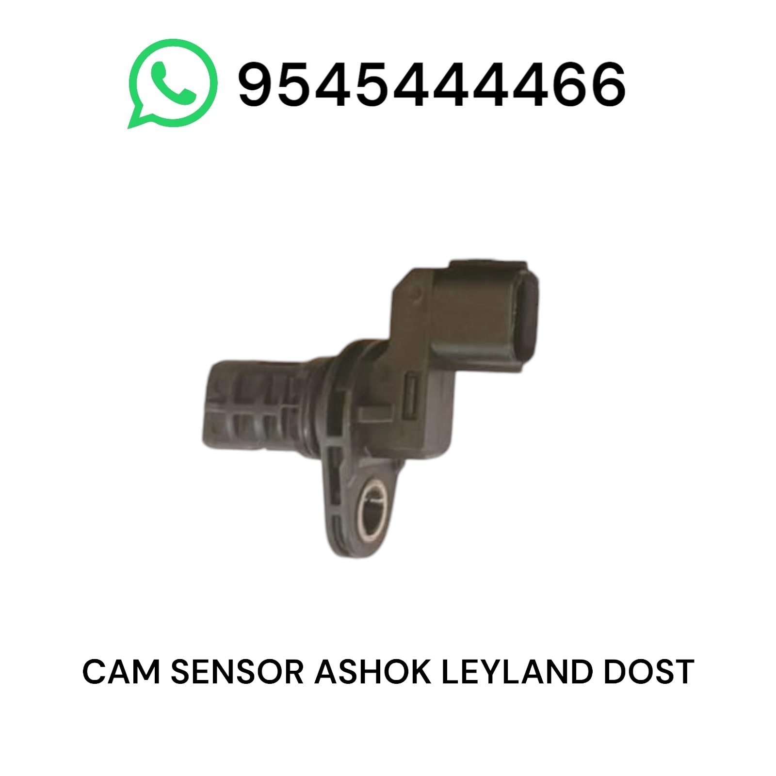 Photoroom-20250504_140731 Photoroom 20250504 140731