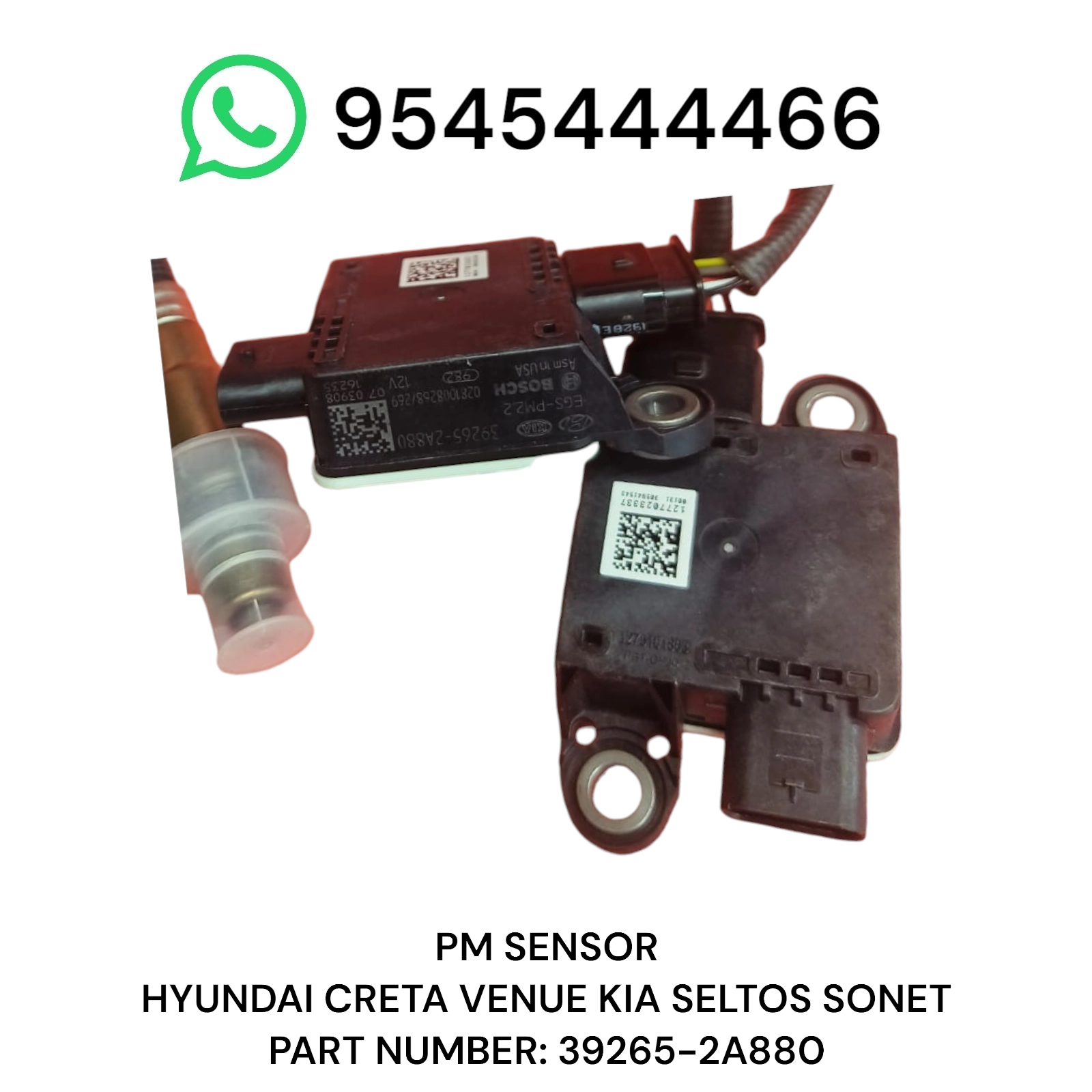 Photoroom 20250507 203531