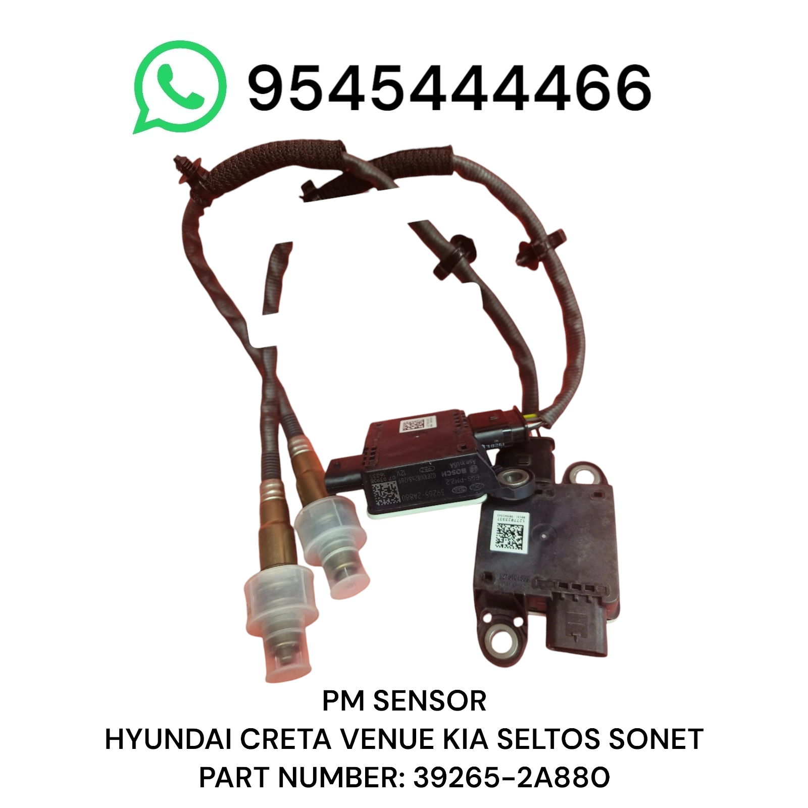 Photoroom 20250507 203701