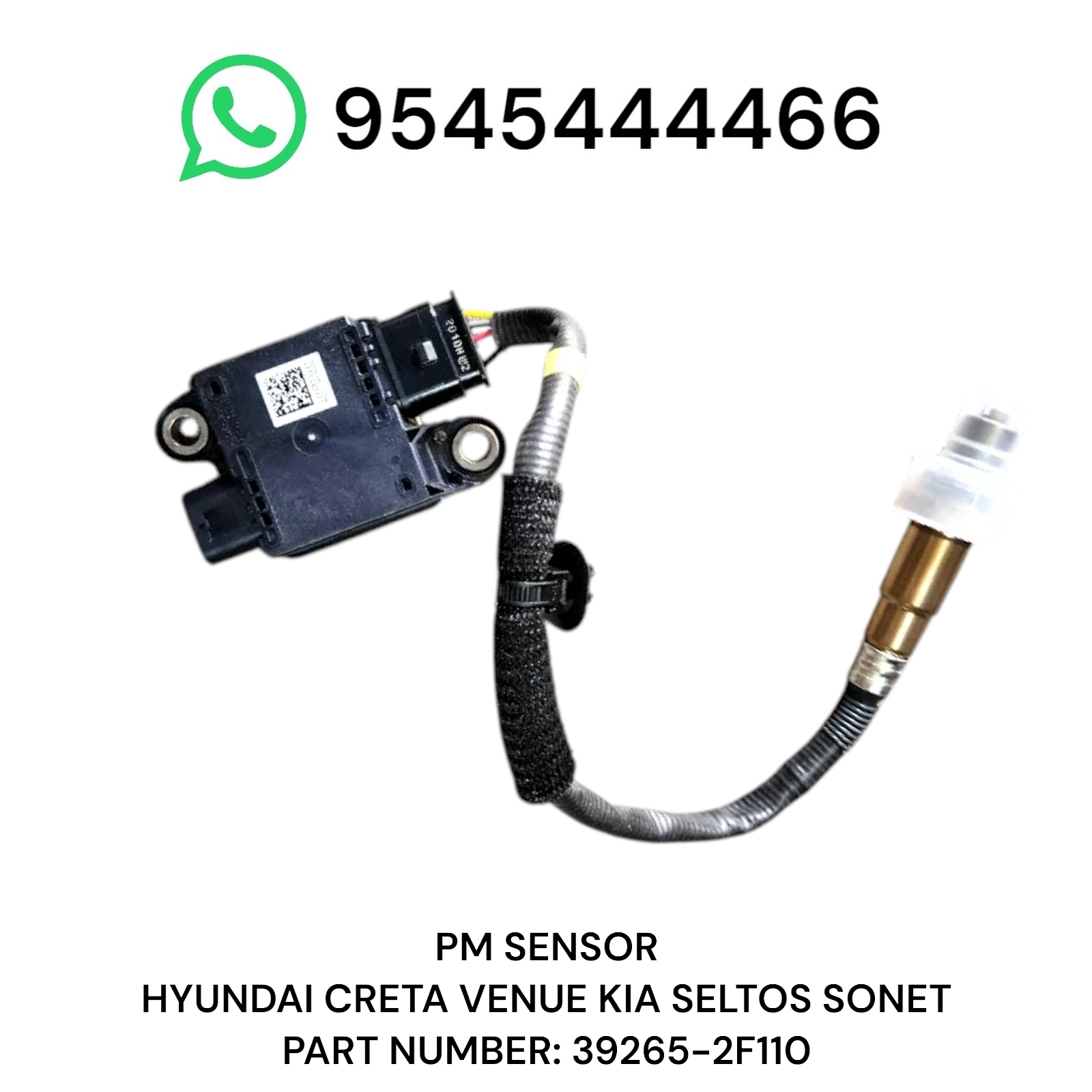 Photoroom 20250507 204333