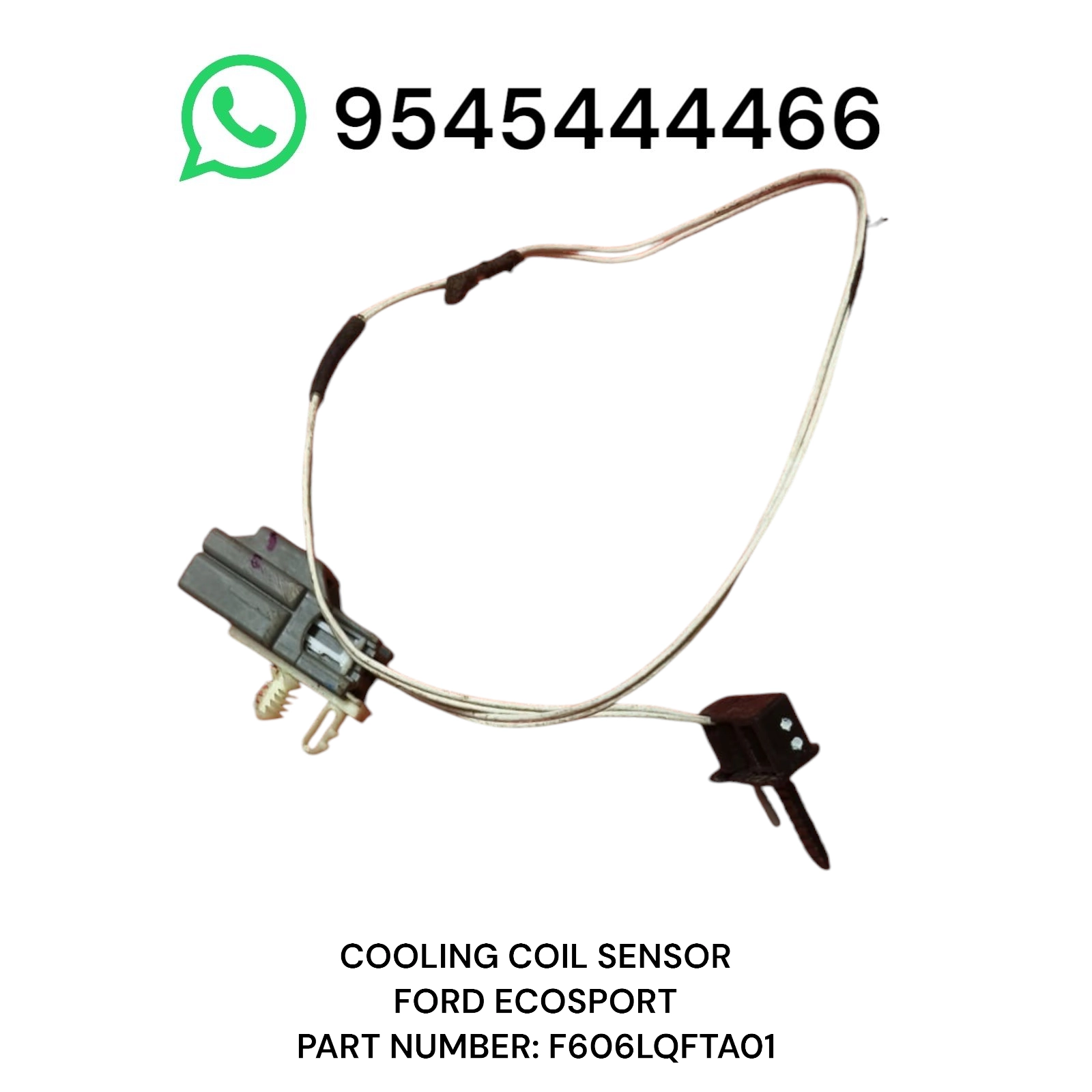 Photoroom-20250508_232043 Photoroom 20250508 232043