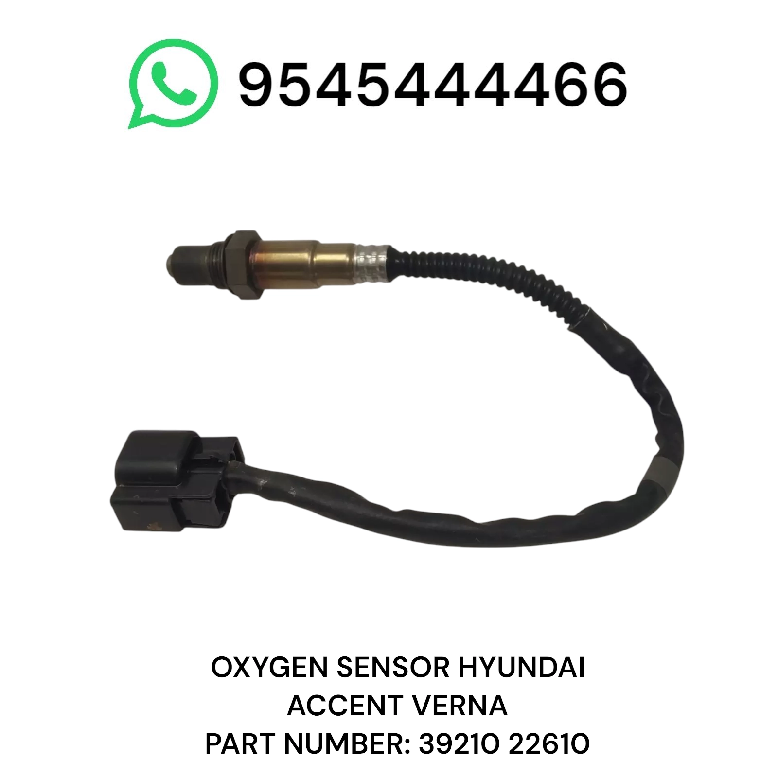 Photoroom 20250509 200545