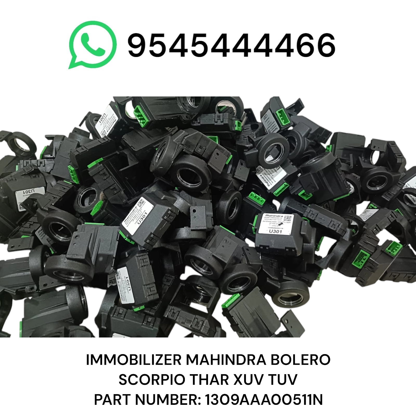 Photoroom 20250515 194637