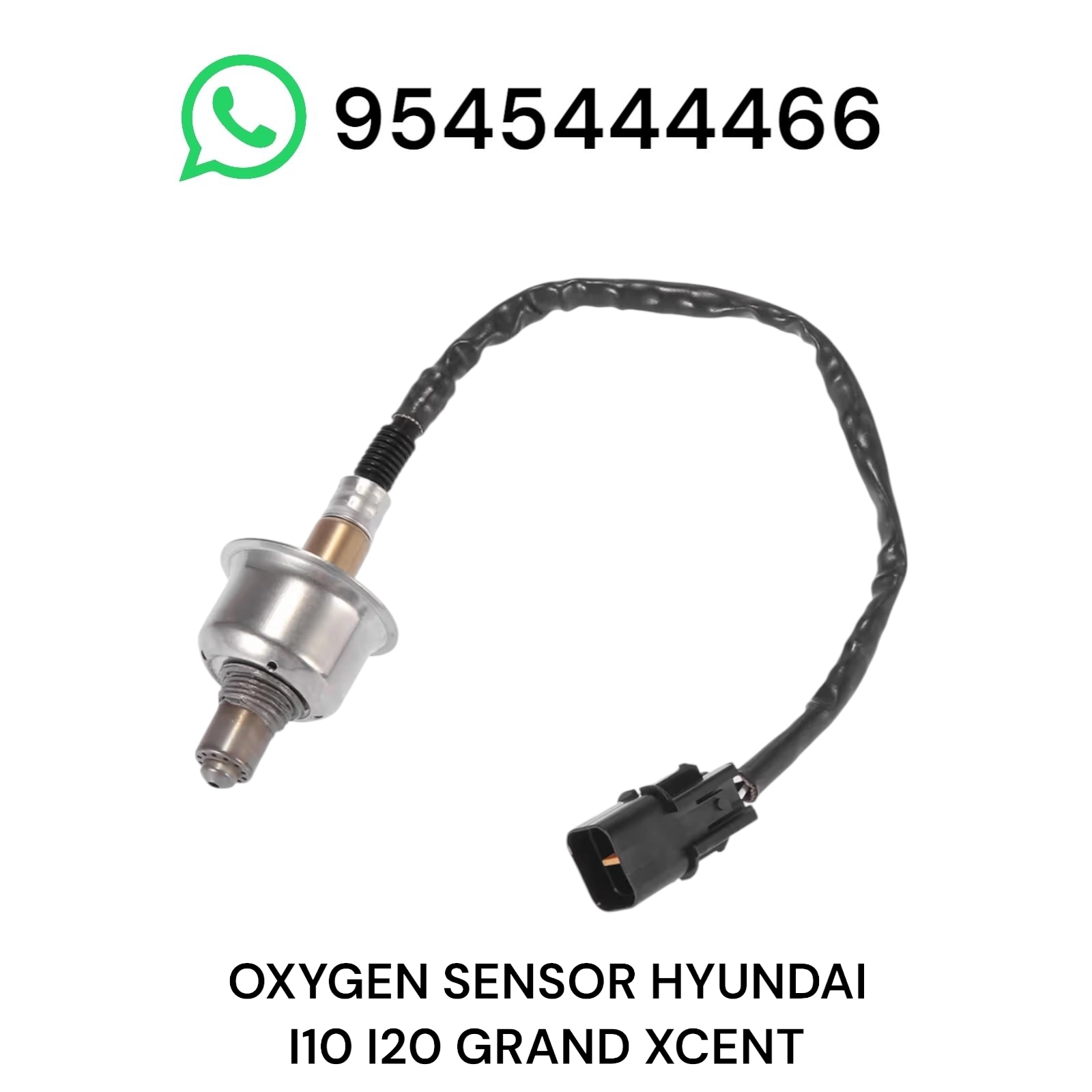 Photoroom 20250515 210653