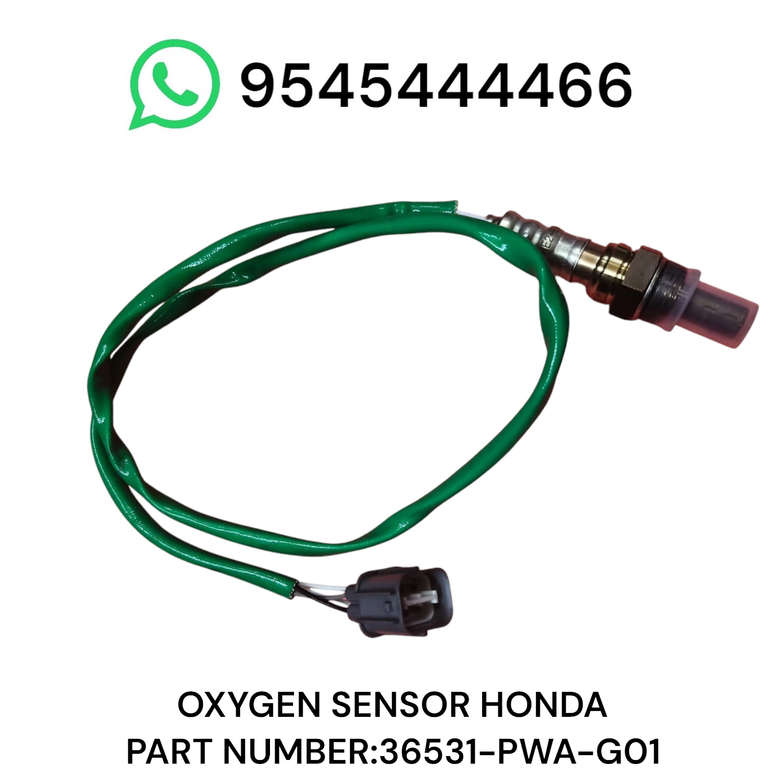 Photoroom-20250519_201607 Photoroom 20250519 201607