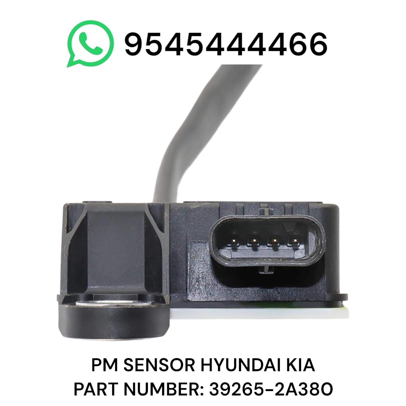 Photoroom 20250919 194939