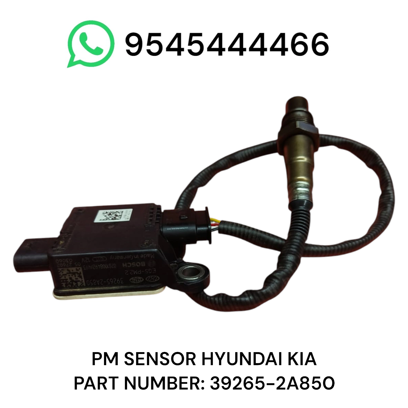 Photoroom 20250919 201835